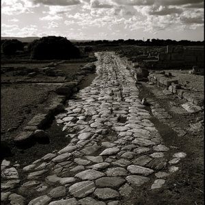 Meet your Posher, Lilly